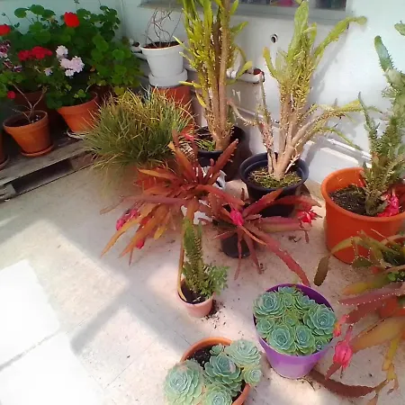 Mar De Plata Гостевой дом