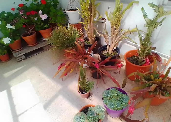 Mar De Plata Gasthuis